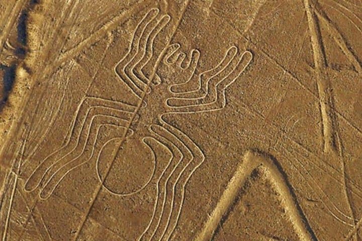 Nazca Lines Overflight & Huacachina Dune-Buggy Adventure from Nazca photo 3