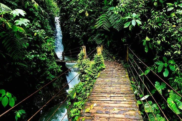 Mindo Cloud Forest Day Trip: Birdwatching, Waterfalls & Adventure Sports photo 4