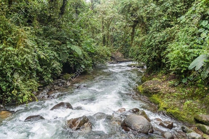 Mindo Cloud Forest Day Trip: Birdwatching, Waterfalls & Adventure Sports photo 5