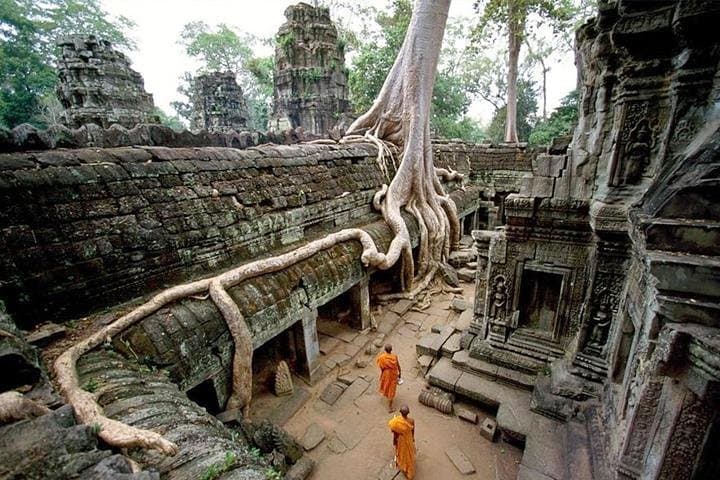 Angkor Wat Sunrise Private Tour: Early-Morning Temples & Ta Prohm photo 3