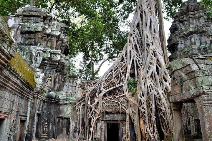 Full-Day Temples of Angkor: Small-Group Siem Reap Tour photo 4