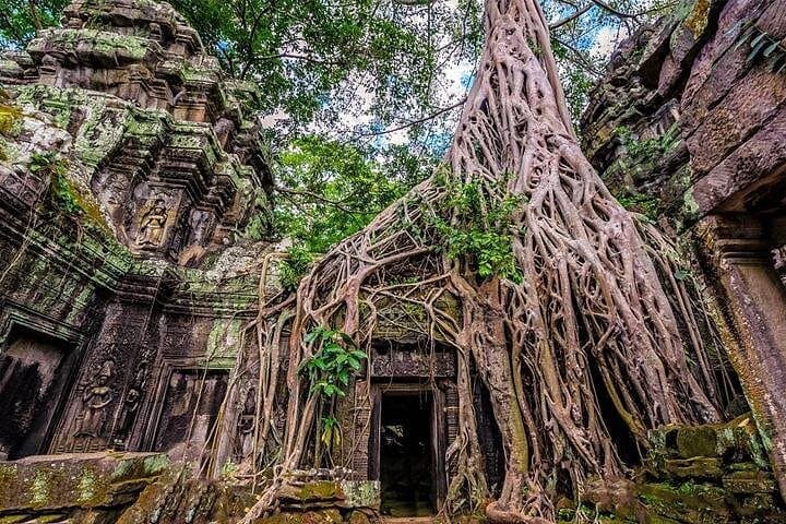 On Foot Through Angkor: Private Walking Tour to Bayon, Ta Prohm & Angkor Wat