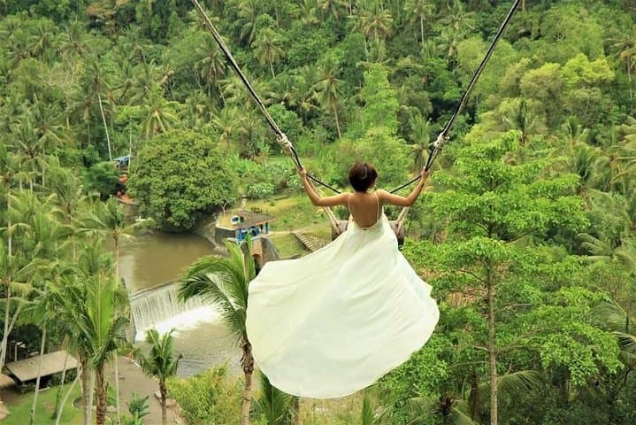 Ubud Day Tour: Monkey Forest, Jungle Swing, Rice Terraces & Tirta Empul