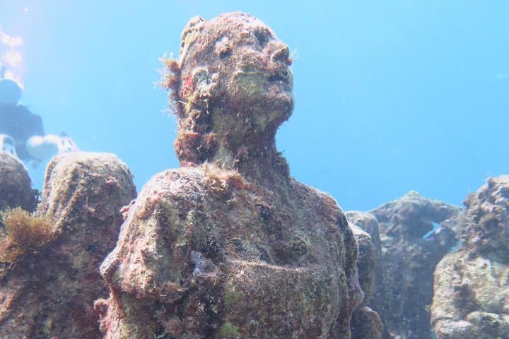 Try Dive at Cancun's Underwater Museum (MUSA) — Beginner Scuba Experience photo 3
