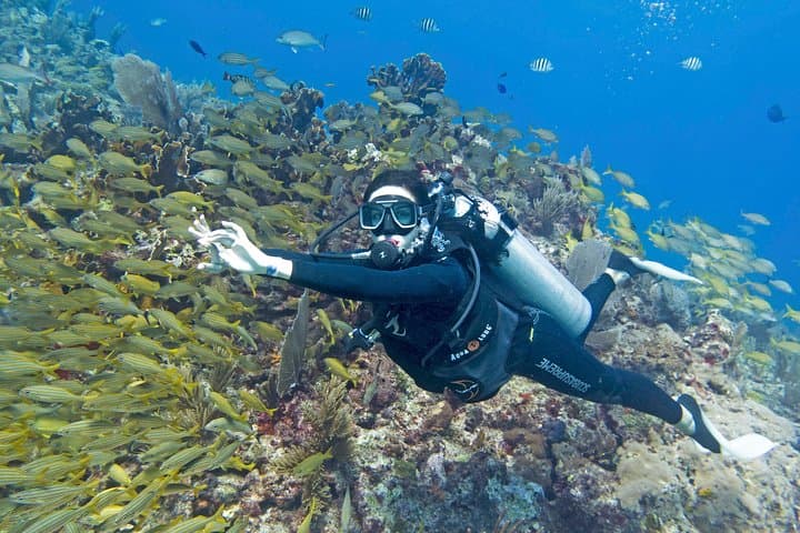 Try Dive at Cancun's Underwater Museum (MUSA) — Beginner Scuba Experience photo 4
