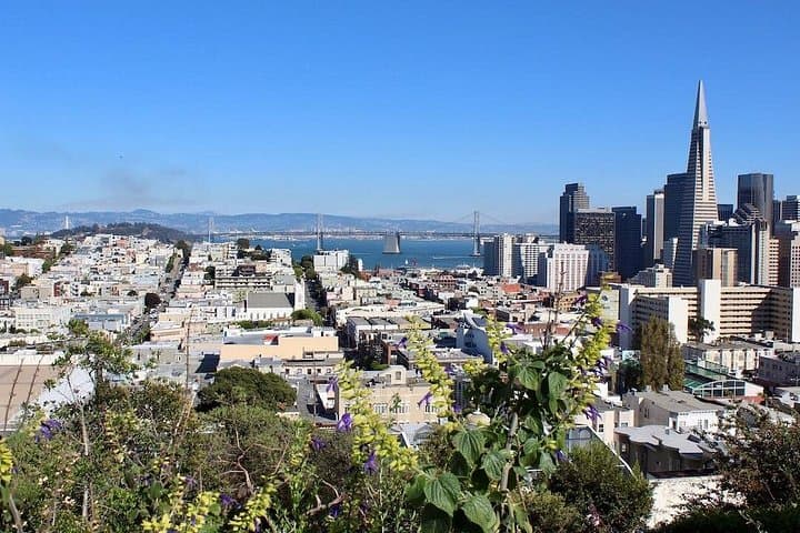 San Francisco Urban Hike: Coit Tower, Lombard Street & North Beach Steps Tour photo 3