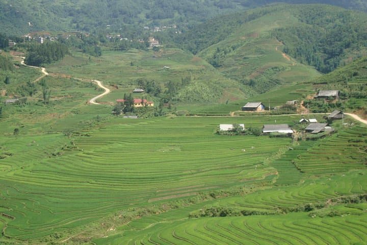 Sapa Tours: 2-Day Trek Through Hmong Villages & Rice Terraces photo 4