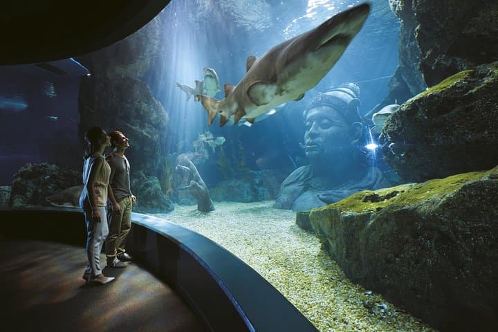 Explore SEA LIFE Bangkok Ocean World & Madame Tussauds: Practical Visitor Guide photo 3