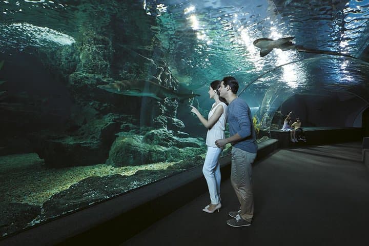 Explore SEA LIFE Bangkok Ocean World & Madame Tussauds: Practical Visitor Guide photo 2