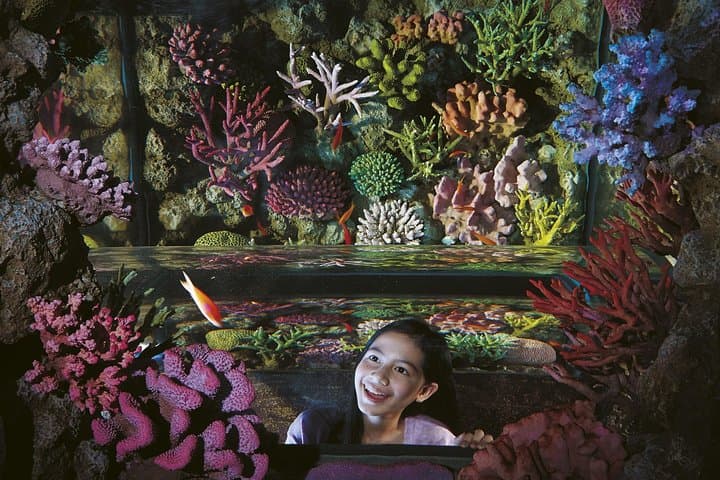 Explore SEA LIFE Bangkok Ocean World & Madame Tussauds: Practical Visitor Guide photo 4