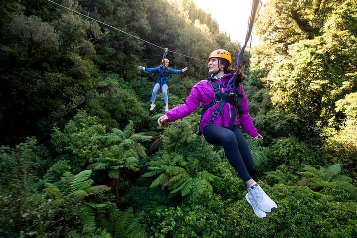Ultimate Canopy Zipline Private Tour from Auckland to Rotorua