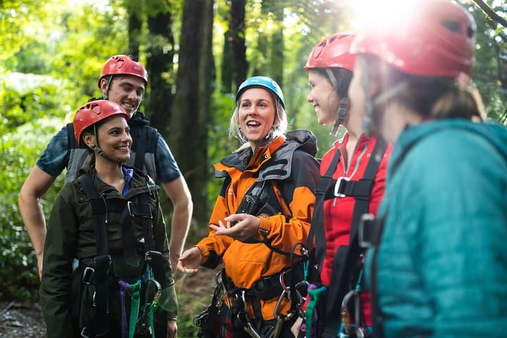 Auckland to Rotorua Canopy Zipline: Full-Day Private Forest Canopy Adventure photo 5