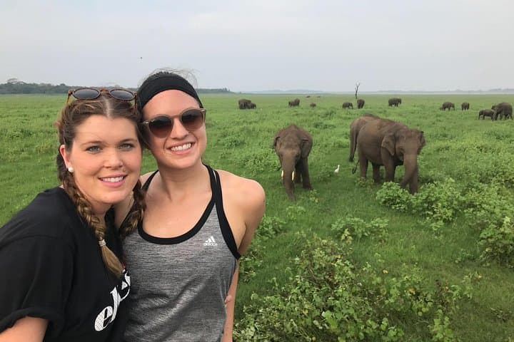 Sri Lanka Highlights in 6 Days: Sigiriya, Tea Country & Yala Safari