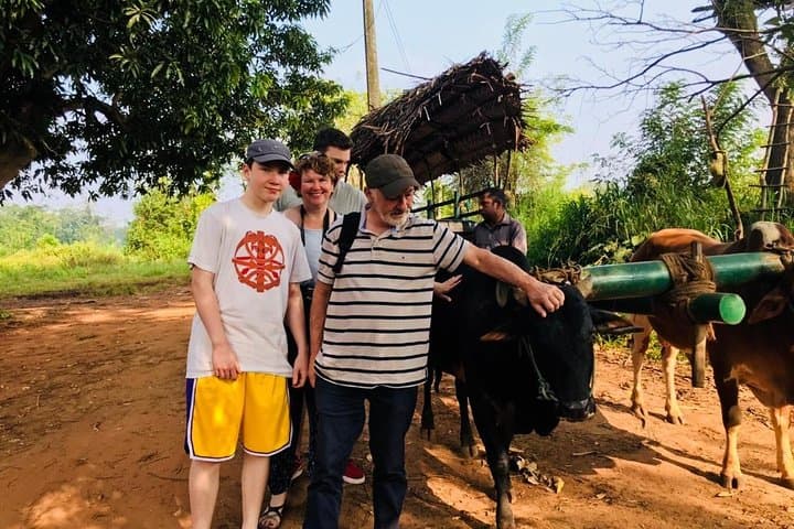Sri Lanka Highlights in 6 Days: Sigiriya, Tea Country & Yala Safari photo 6