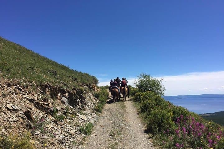 10-Day Northern Mongolia: Khuvsgul Lake & Central Mongolia Adventure photo 3