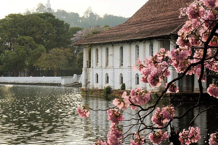 Sri Lanka 10-Day Highlights Tour: Sigiriya, Kandy, Ella & Yala in Comfort photo 3