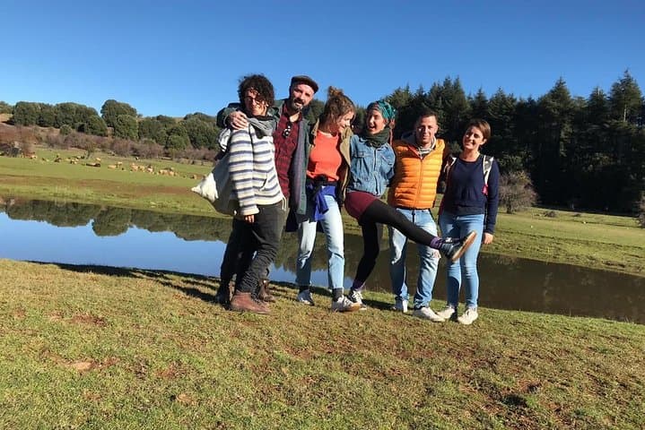 Middle Atlas Cedar Forests & Azrou Day Trip from Fez — Ifrane, Imouzzer & Barbary Apes photo 2