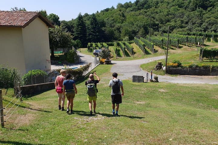 Rebels of Lake Como: Hike Spina Verde's Border Fortresses photo 2