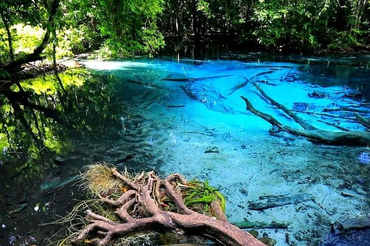 Krabi Jungle Tour & Ao Thalane Kayaking: Emerald Pool, Hot Springs and Mangrove Canyons photo 2