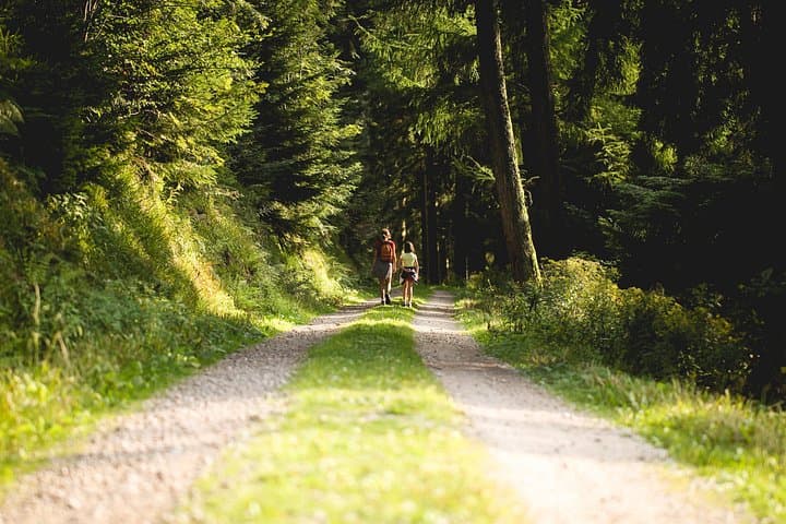 Panorama Hike Black Forest: Guided Scenic Route to Hornisgrinde & Rhine Valley Views photo 1