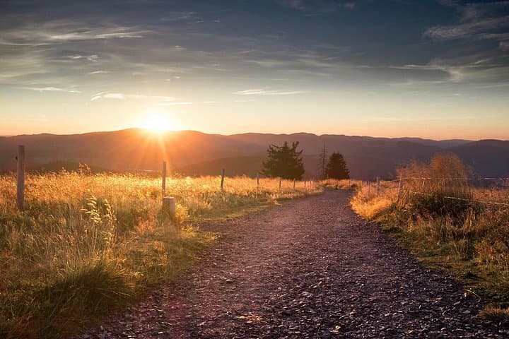 Panorama Hike Black Forest: Guided Scenic Route to Hornisgrinde & Rhine Valley Views photo 4