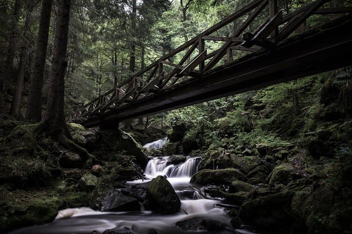 Triberg Black Forest Cultural Hike to Germany's Highest Accessible Waterfall photo 6