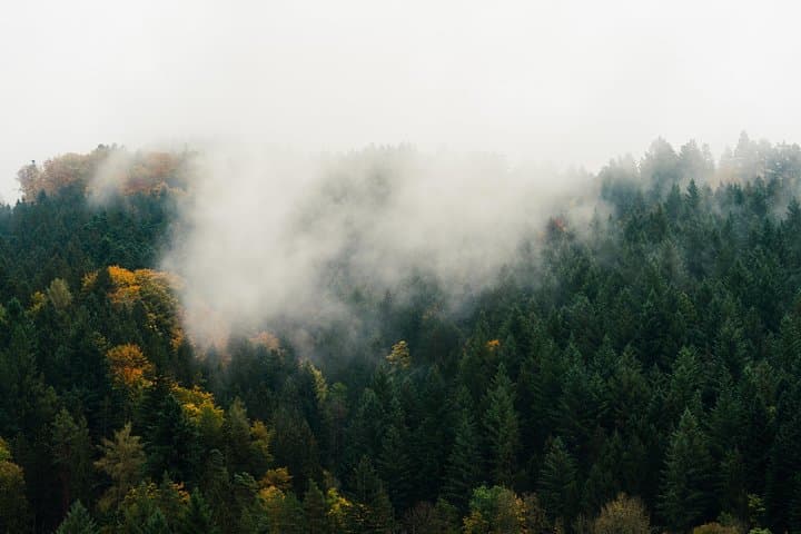 Triberg Black Forest Cultural Hike to Germany's Highest Accessible Waterfall photo 5