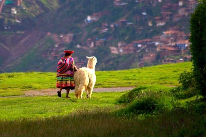 Cusco City Tour: Half-Day Inca and Colonial Highlights (Qoricancha, Sacsayhuamán) photo 2