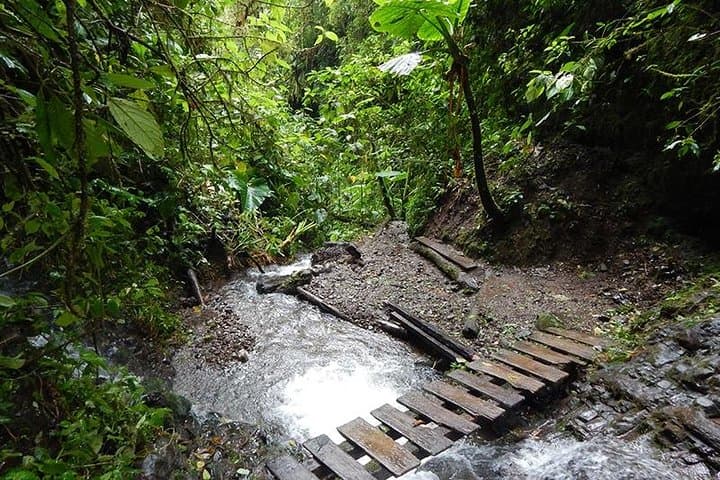 Mindo Cloud Forest Day Trip: Waterfalls, Hummingbirds & Chocolate photo 5