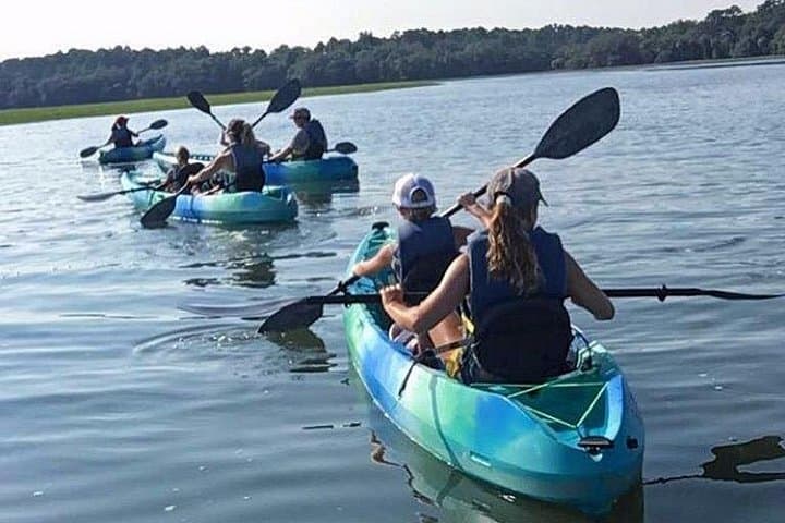 Skull Creek Guided Kayak Tour in Hilton Head — Dolphins & Salt Marsh Wildlife photo 4