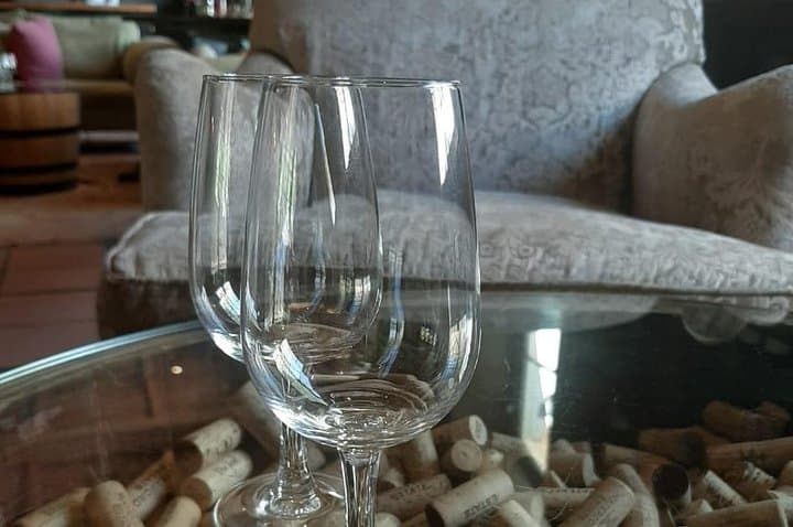 Full-Day Wine Tour to Stellenbosch from Cape Town
