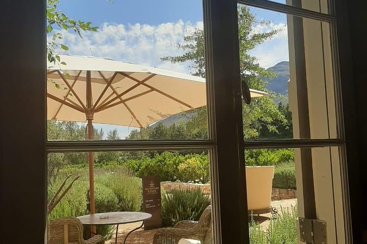 Full-Day Wine Tour to Stellenbosch from Cape Town photo 6