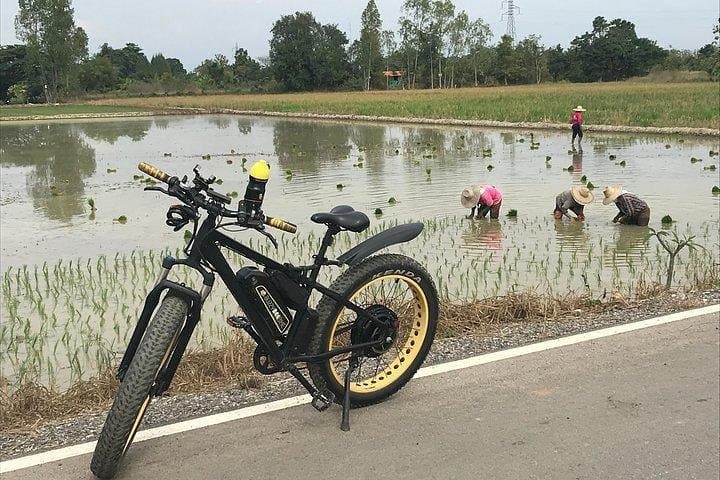 Full-day E-bike Adventure from Chiang Mai: Ping River, Temples & Nam Phrae photo 4