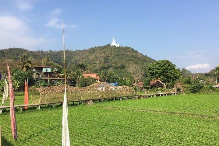 Half-Day Hilly E-Bike Tour Nam Phrae — Wat Umong & Outer Chiang Mai photo 2