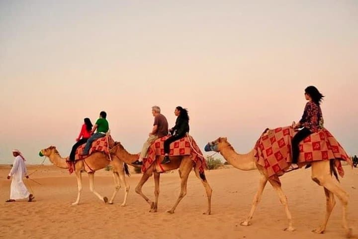 Evening Desert Safari with Camel Ride and Dune Bashing in Lahbab