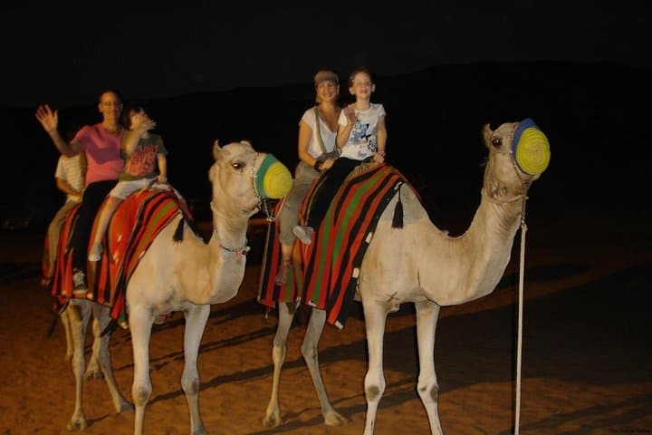 Evening Desert Safari with Camel Ride and Dune Bashing in Lahbab photo 4