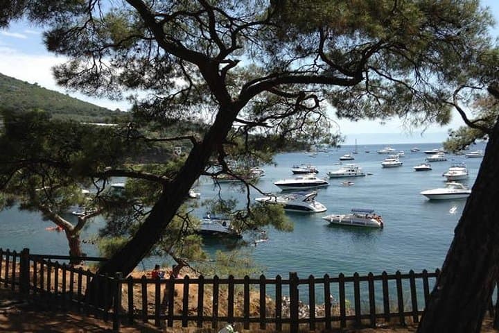 Tranquil Escape: Princes' Islands Day Tour from Istanbul photo 4