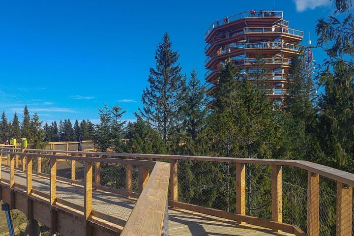Bachledka Treetop Trail & Zakopane Day Trip with Thermal Spa from Krakow photo 5