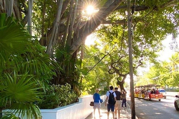 Key West Historic Walking Tour: Bahama Village & Hemingway Heritage photo 3