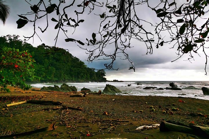 Manuel Antonio Park and Chocolate Tour: Wildlife, Beaches & Cacao Workshop photo 2