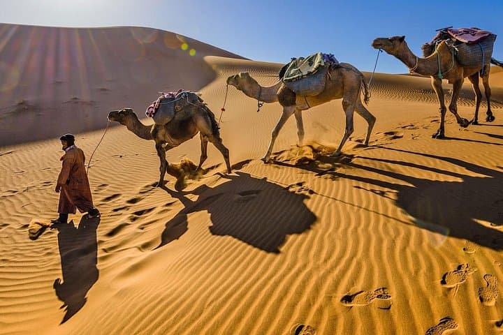 Three-Day Merzouga Desert Experience: Camel Rides, Dunes & Bivouac Nights photo 2