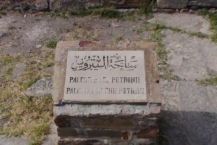 Full-Day Thugga (Dougga) & Bulla Regia Archaeological Tour from Tunis photo 5