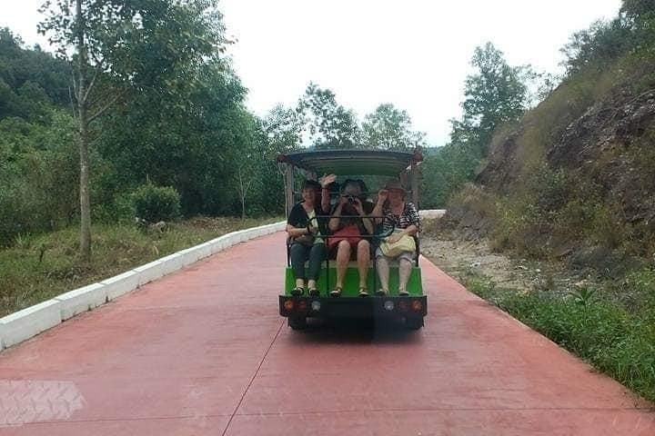 Early Morning My Son Guided Tour: Cham Temples and Jungle Valley photo 4