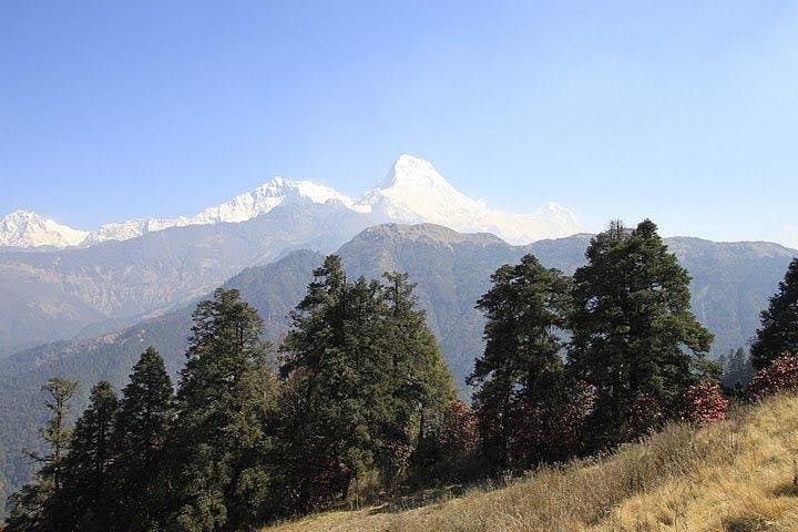 3-Day Ghandruk Trek from Pokhara: Annapurna Views & Gurung Village photo 3