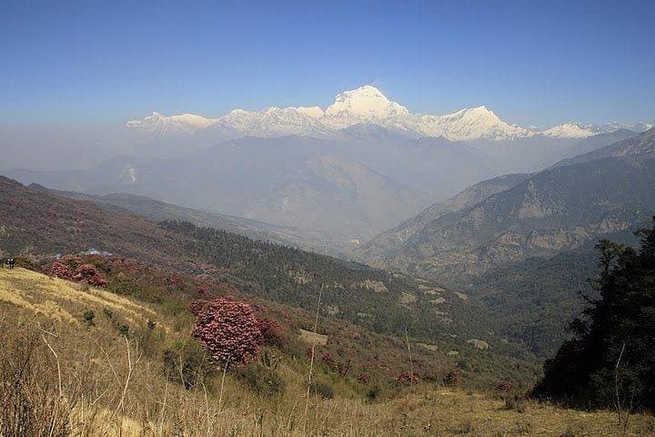 3-Day Ghandruk Trek from Pokhara: Annapurna Views & Gurung Village photo 4