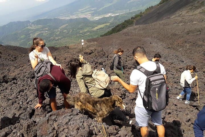 Hike Pacaya Volcano from Antigua: Petrified Lava, Active Vents & Panoramic Views photo 3
