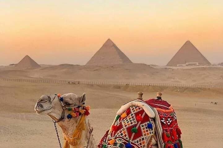 Sunset Camel Ride at the Pyramids with BBQ Dinner photo 5
