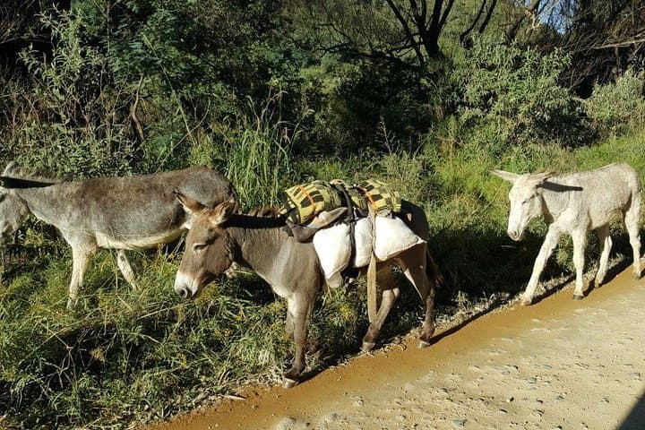 Sani Pass to Mokhotlong: 2-Day 4x4 Journey into Lesotho’s Highlands photo 3