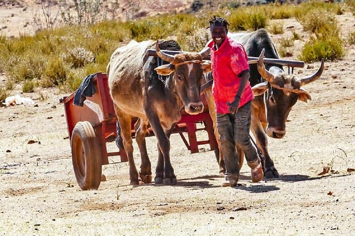 Sani Pass to Mokhotlong: 2-Day 4x4 Journey into Lesotho’s Highlands