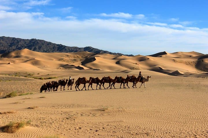 8-Day Gobi Desert Adventure: Khongoryn Els, Yolyn Am & Flaming Cliffs photo 4